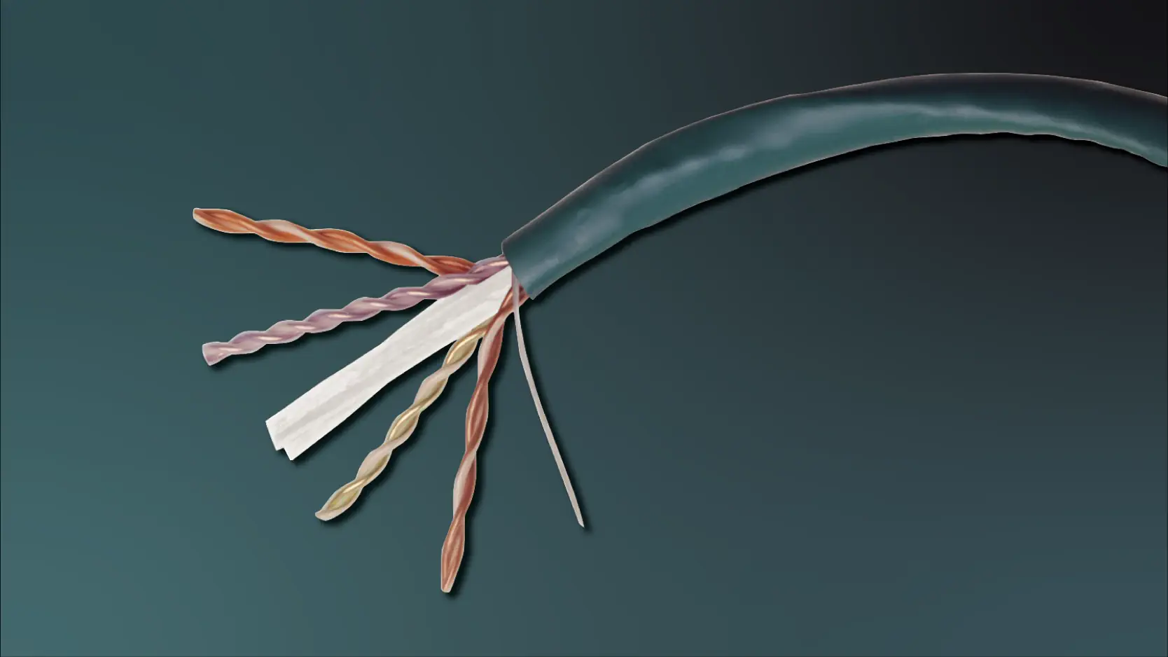 Belden Cable Supplier Authorized Belden Distributor Texcan